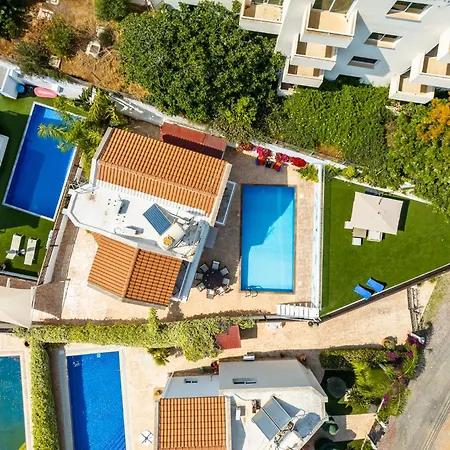 Athena By Ezoria Protaras